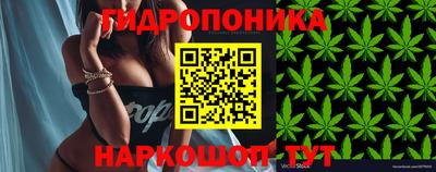 spice Гай
