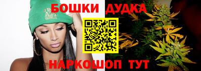 мдпв Гатчина