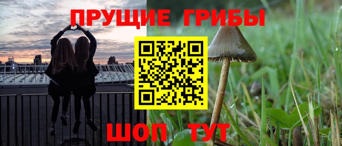 Псилоцибиновые грибы прущие грибы  Вход с VPN  Зима 