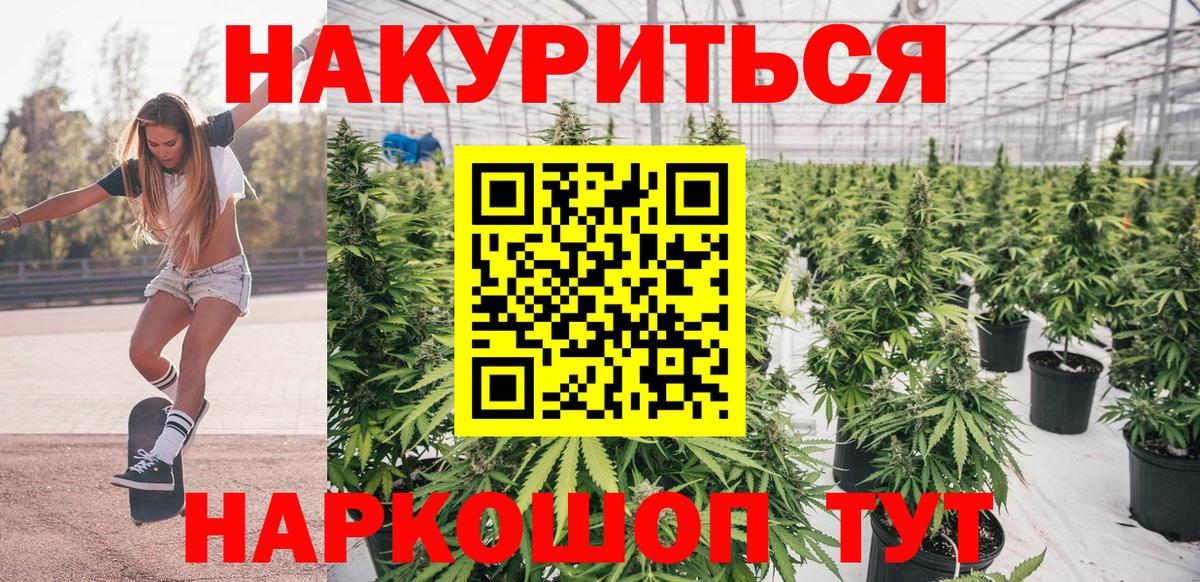 Конопля ГИДРОПОН Зима